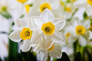 Xbox＆Win游戏栏不再允许用户直接分享截图到推特